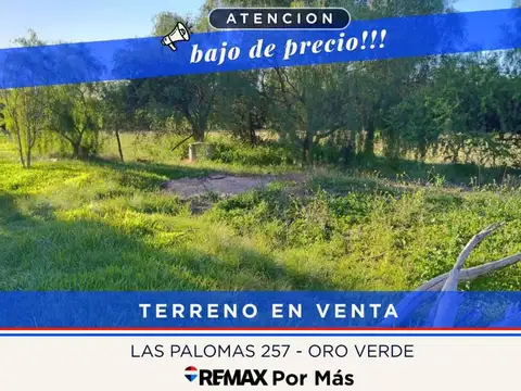 Lote 250m² en Oro Verde