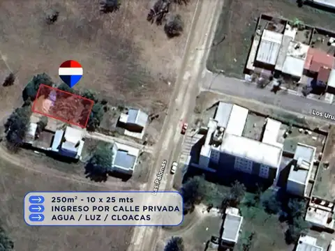 Las Palomas 200
