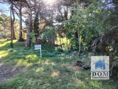 Juan Diaz De Solis 1300