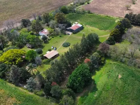 Camino A Baradero - Ruta 9 Km 100