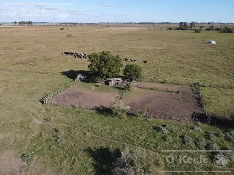 Campo Mixto de 280 Has en venta . Acceso sobre asfalto en Ranchos