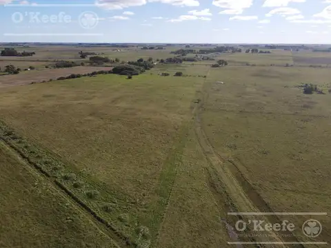 Campo Mixto de 280 Has con Inmejorable acceso sobre asfalto en Ranchos - Oportunidad !