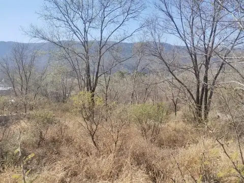 Nuestra Sra Del Rosario Y Bartolomé Mitre