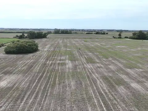 Campo en Carmen de Areco