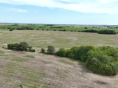 Campo en Venta Agrícola