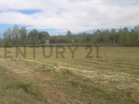 TERRENO EN VENTA - RUTA 40, EUGENIO BUSTOS