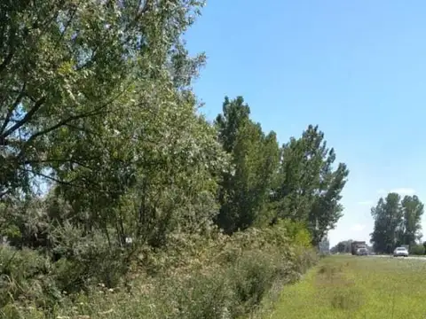 lote eugenio bustos , Piso 0