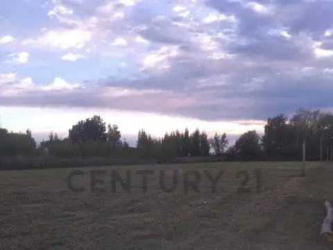 TERRENO EN VENTA - RUTA 40, EUGENIO BUSTOS