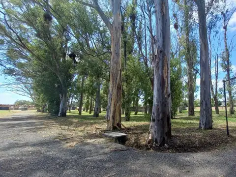 Terreno en Venta 15  mts Frente