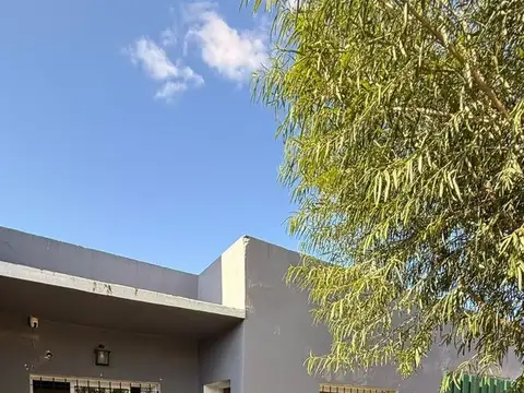 Curuzu Cuatia 100