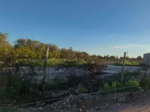 25 de Mayo al 1700