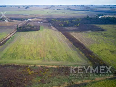 Campo en 15 Hectareas La luisa Capitán Sarmiento
