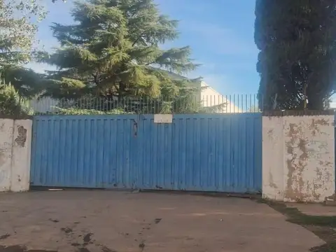 maximo Herrera 6100