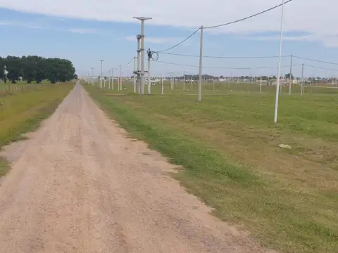 Ruta Provincial 21 200