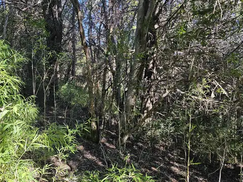 Terreno en Venta 67  mts Fondo