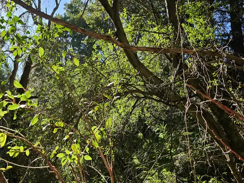 Terreno en Venta de 3344,0 m2