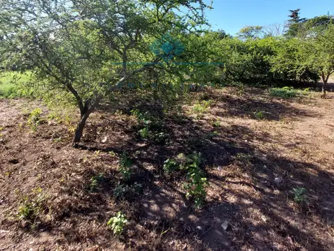 ? VENTA-2 LOTES/TERRENOS- SINSACATE -PLENO CENTRO?