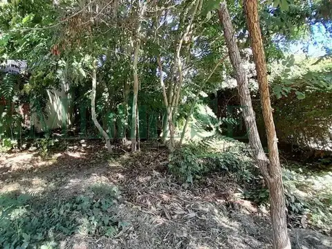 Terreno en Venta de 247,0 m2