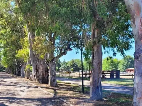 El Campo - Lote 16