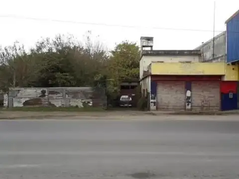 Avenida Lacaze e/ Begonia y Rawson