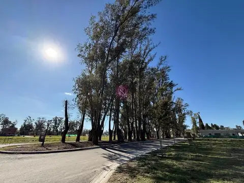 Pilar Del Este barrio Santa Sofia 100