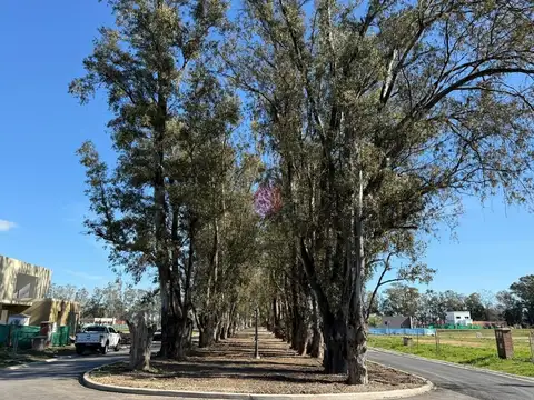 Pilar Del Este barrio Santa Sofia 100