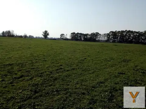 Campo en venta - 2.420.000Mts2 - Mechongué