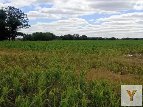 Campo en venta - 2.420.000Mts2 - Mechongué