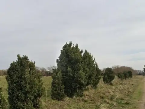 Campo en venta - 2.420.000Mts2 - Mechongué
