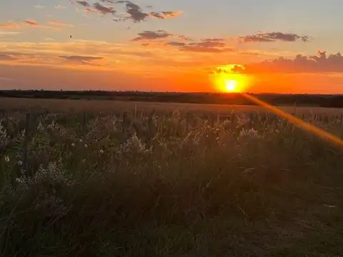 Terreno de 2000 m2 calle del Golf, en Carolina