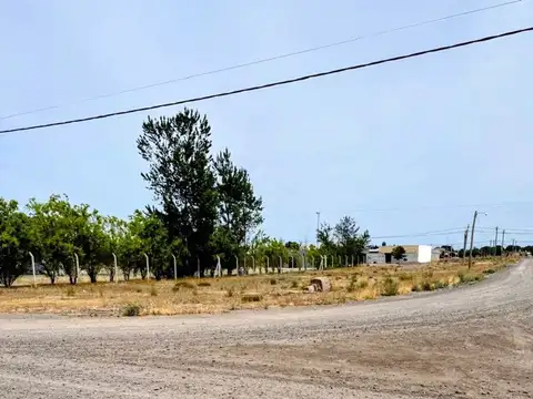 Manzana 314, parcela 01