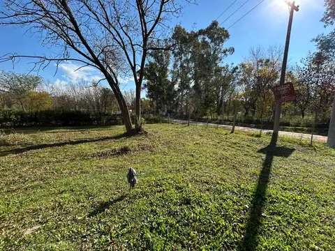 Terreno en Venta 60  mts Fondo