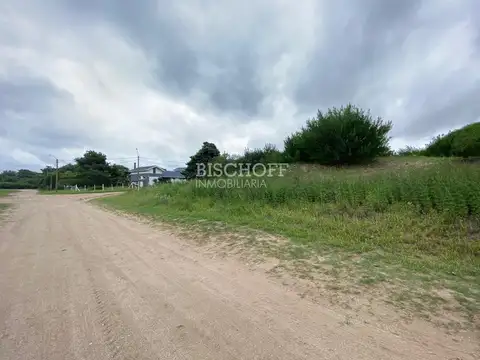 CALLE 311 Y ALAMEDA 206 BIS