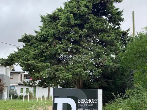 CALLE 311 Y ALAMEDA 206 BIS