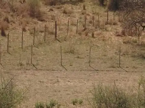 Terreno en Venta en La Paisanita, USD 8.000