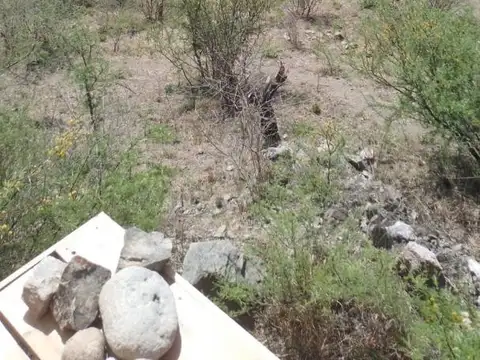 Oportunidad 10 lotes a la venta en La Paisanita