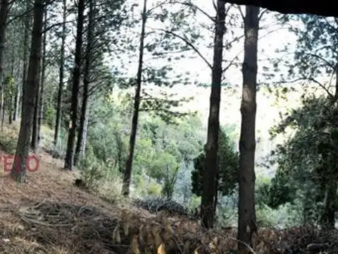 Terreno en Venta en San Martin de los Andes, USD 55.000