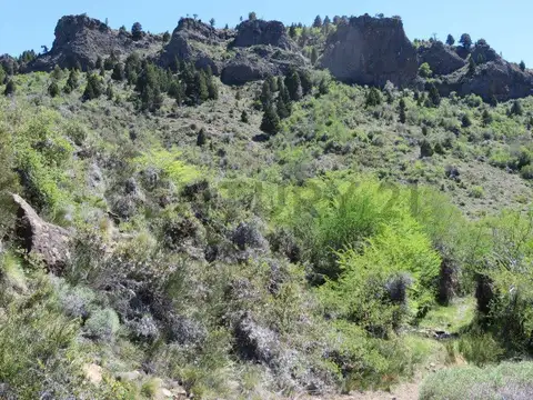 Ruta provincial 40 100, Piso 0