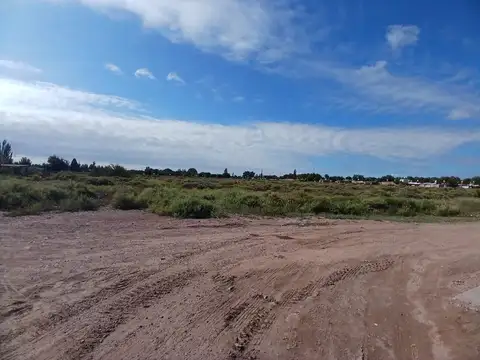 Venta Lote 2ha apto desarrollo San Martin Mendoza