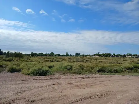 Venta Lote 2ha apto desarrollo San Martin Mendoza