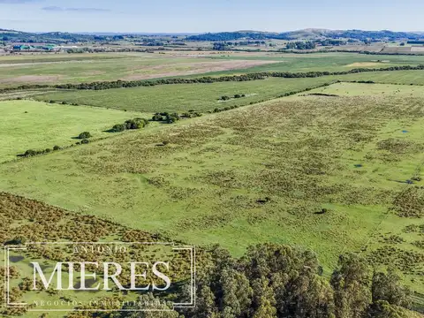 Chacra de 16 ha en venta, Zona Lapataia, Maldonado Uruguay.