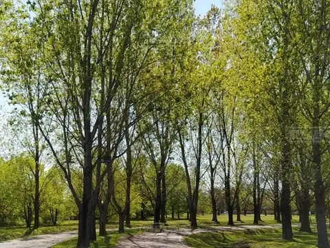 El Nacional Club de Campo 100