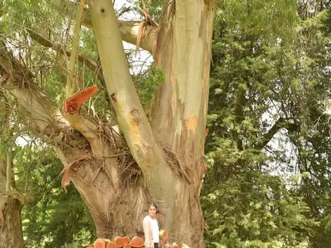 Terreno en Venta de 654,0 m2