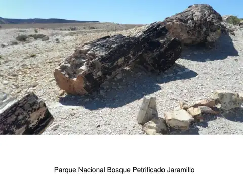 Campo de 10700 ha en Venta - Jaramillo - Santa Cruz