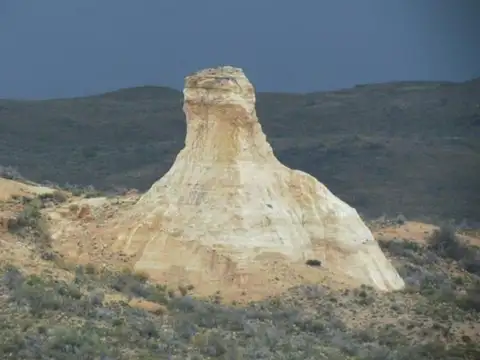 Campo de 10700 ha en Venta - Jaramillo - Santa Cruz