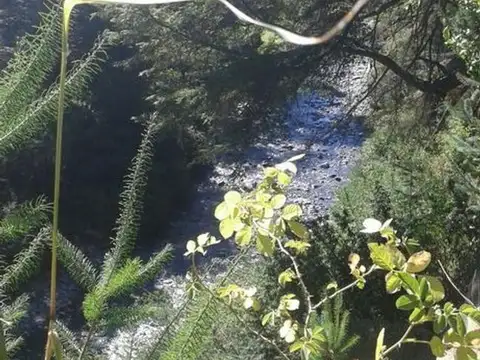 Terreno en Venta en Puerto Manzano, USD 395.000