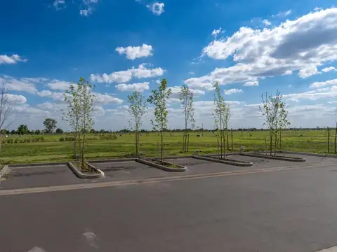 Terreno en Venta 20  mts Frente
