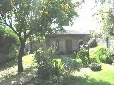 JUANA AZURDUY 100