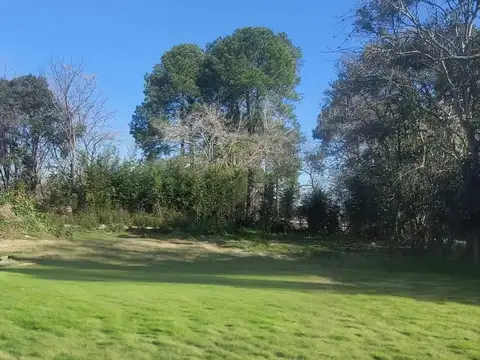 Terreno en Venta 12  mts Frente