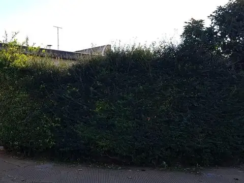 Terreno en Venta en Martín Coronado, USD 140.000